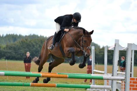 Toris võistlevad noorhobused. foto EHS